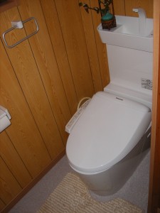 crs_img_130603